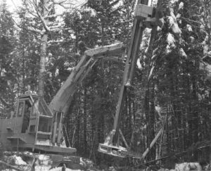 Mechanical Harvester Limbing Trees