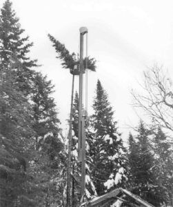 Mechanical Harvester Limbing Trees