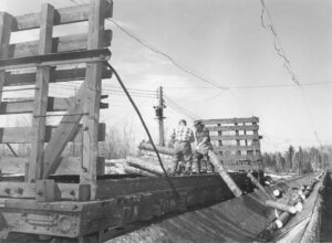 Men Emptying Railroad Pulp Car to a Conveyor Belt