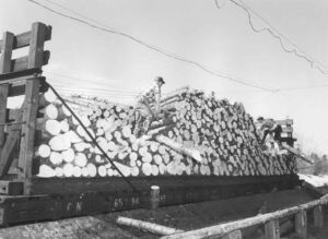 Men Emptying Railroad Pulp Car to a Conveyor Belt