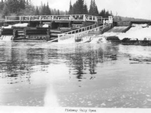 Millinocket Lake Dam with Fishway Only Open