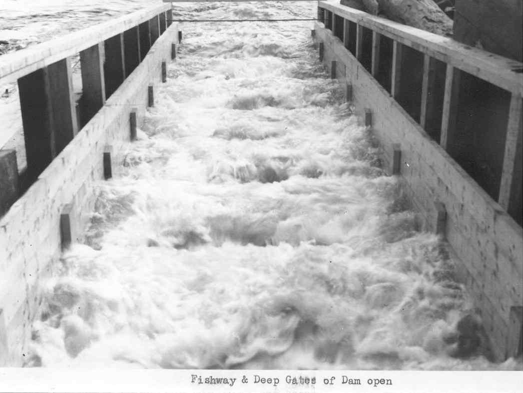 Millinocket Lake Dam with Fishway and and Deep Gates Open