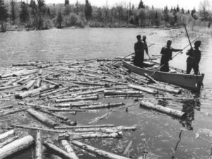 Four Men in a Small Boat Moving Wood