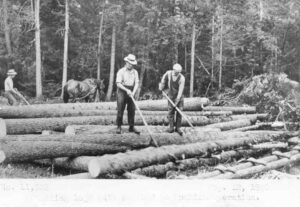 Men Moving Long Logs with Cant Dogs