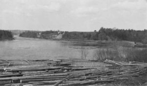 Long Logs in the River