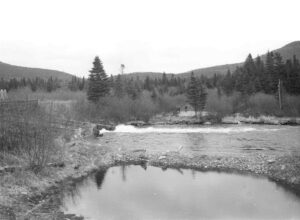 Nesowadnehunk Dam Tailwater