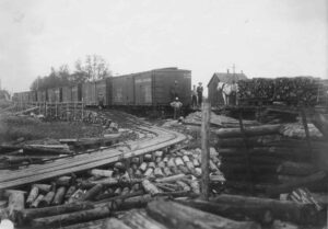 Old Railroad Cars Full of Pulp