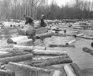 Outboard Motor Boat Moving Wood