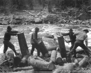Men Picking Pulp off the Bank