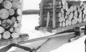 Pulp Sled Hauling Wood