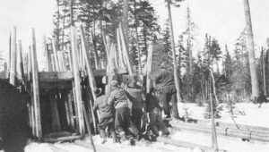 Building a Pulp Sled