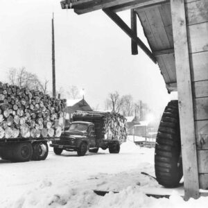 Pulp Trucks Leaving Camp in the 1940's