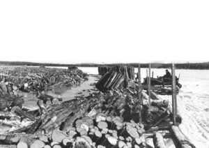 Pushing Wood off a Sled onto the Ice with a Tractor