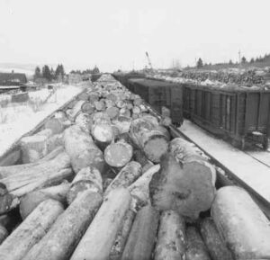 Railroad Car Full of Pulp