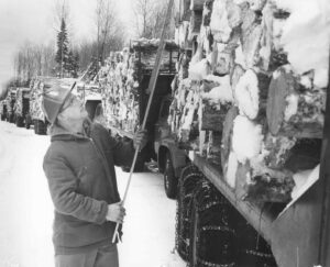 Scaling Wood in the 1950's