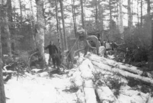 Skidder Winching Wood