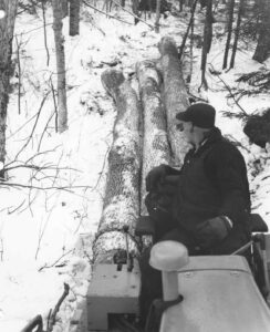 Man Skidding Wood with a Skidder
