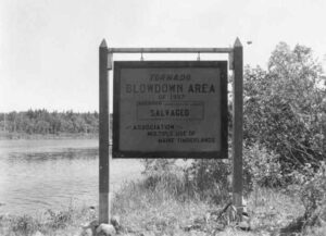 Tornado Blowdown Area 1957