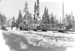 Tractor Hauling Wood in the Late 1940's or Early 1950's