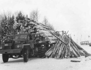 Truck with a Dumped Load of Long Logs in the 1940's