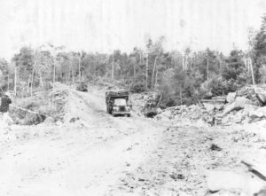 Trucks Hauling Pulp in the 1940's
