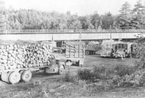 Trucks Lined up to Dump Wood into the River at North Twin