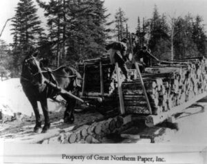 Unloading Pulp by Hand from a Horse Drawn Pulp Sled