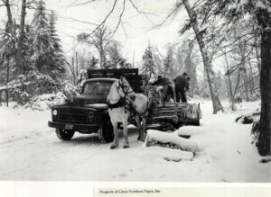 Unloading Wood from a Horse Pulp Sled to a Truck
