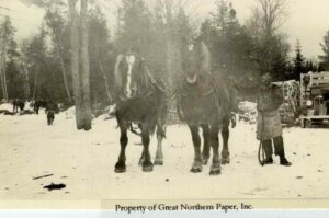Washing Down a Team of Horses