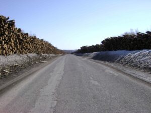 Wood Lined up Along Golden Road in Millinocket, Maine