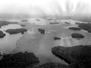 Aerial View of Wood in the Water at Stone Dam