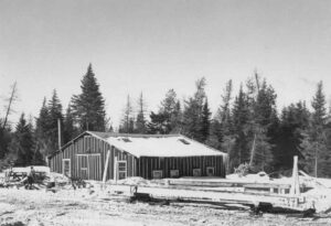 Woodlands Camp 1950's