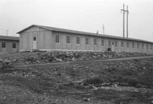 Woodlands Lumber Camp