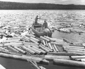 Two Men Working Pulp on the Lake in a Boat