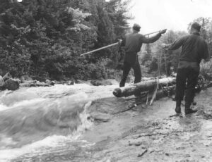 Poling Wood on a Stream
