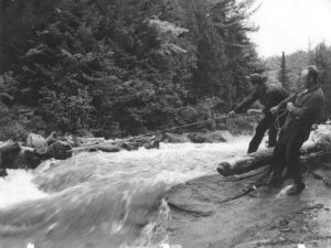 Poling Wood on a Stream